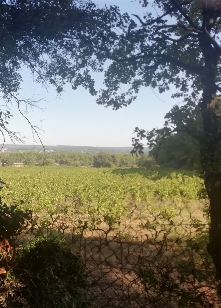 property 5 Rooms for sale on UZES (30700)