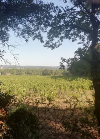property 5 Rooms for sale on UZES (30700)