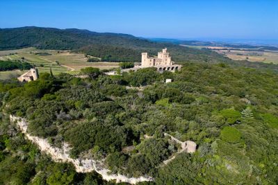 Vente Château Pont-Saint-Esprit 9&nbsp;Pièces 385&nbsp;m²