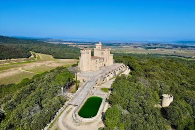 Vente Château Pont-Saint-Esprit 9&nbsp;Pièces 385&nbsp;m²