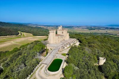 Vente Château Pont-Saint-Esprit 9&nbsp;Pièces 385&nbsp;m²