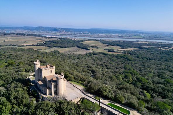 Vente Château Pont-Saint-Esprit 9 Pièces 385 m²