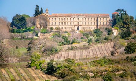 château 30 Pièces en vente sur PEZENAS (34120) Vente Château Pézenas 30 Pièces 6200 m²