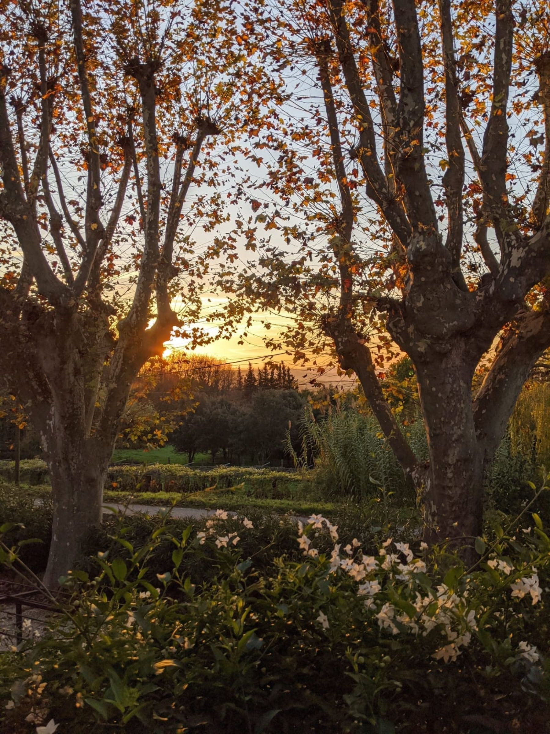 propriété 20 Pièces en vente sur UZES (30700)