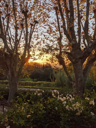 propriété 20 Pièces en vente sur UZES (30700)