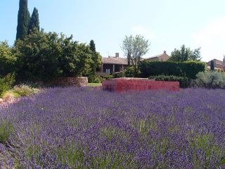 house 11 Rooms for sale on UZES (30700)