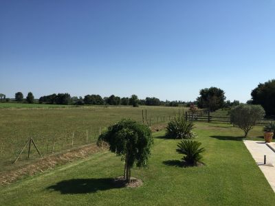mas 6 Rooms for sale on ARLES (13200) Sale Mas Arles 6 Rooms 260 m²