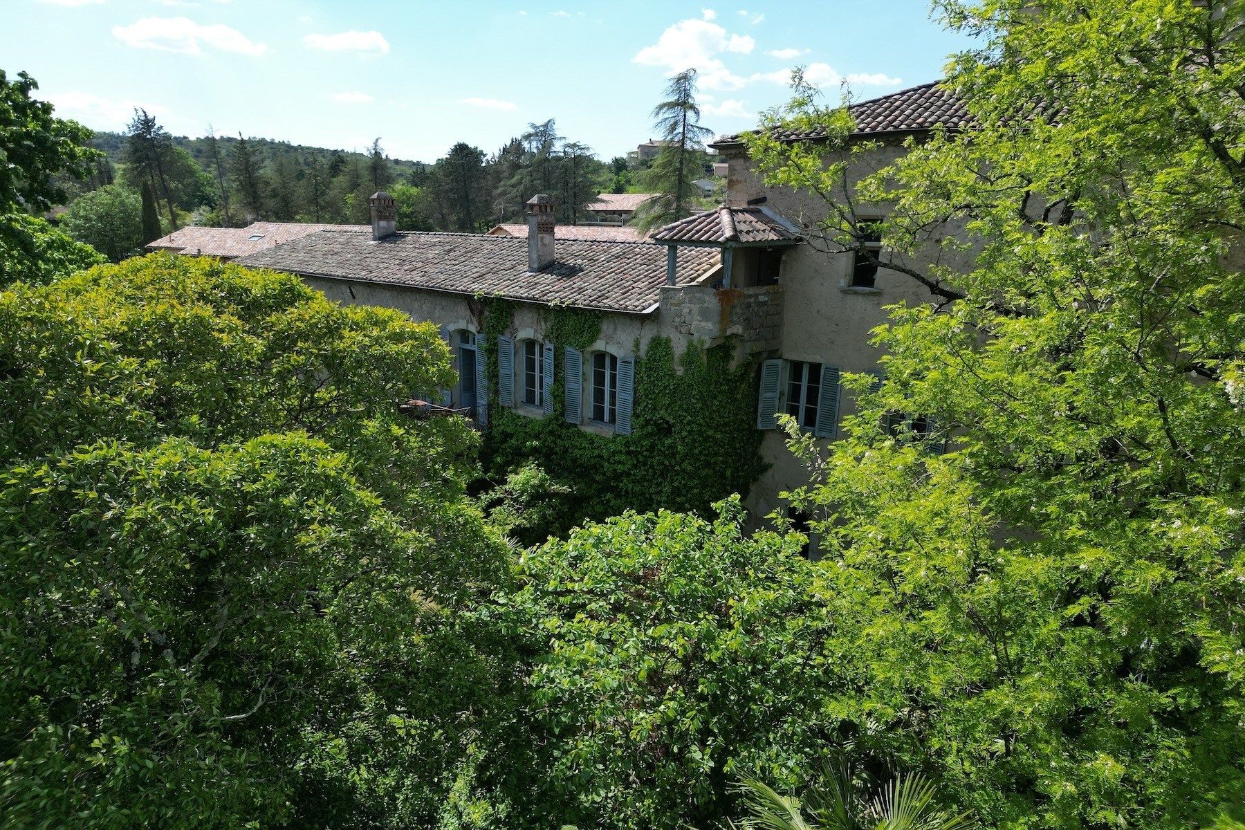 château 12 Pièces en vente sur BARJAC (30430)