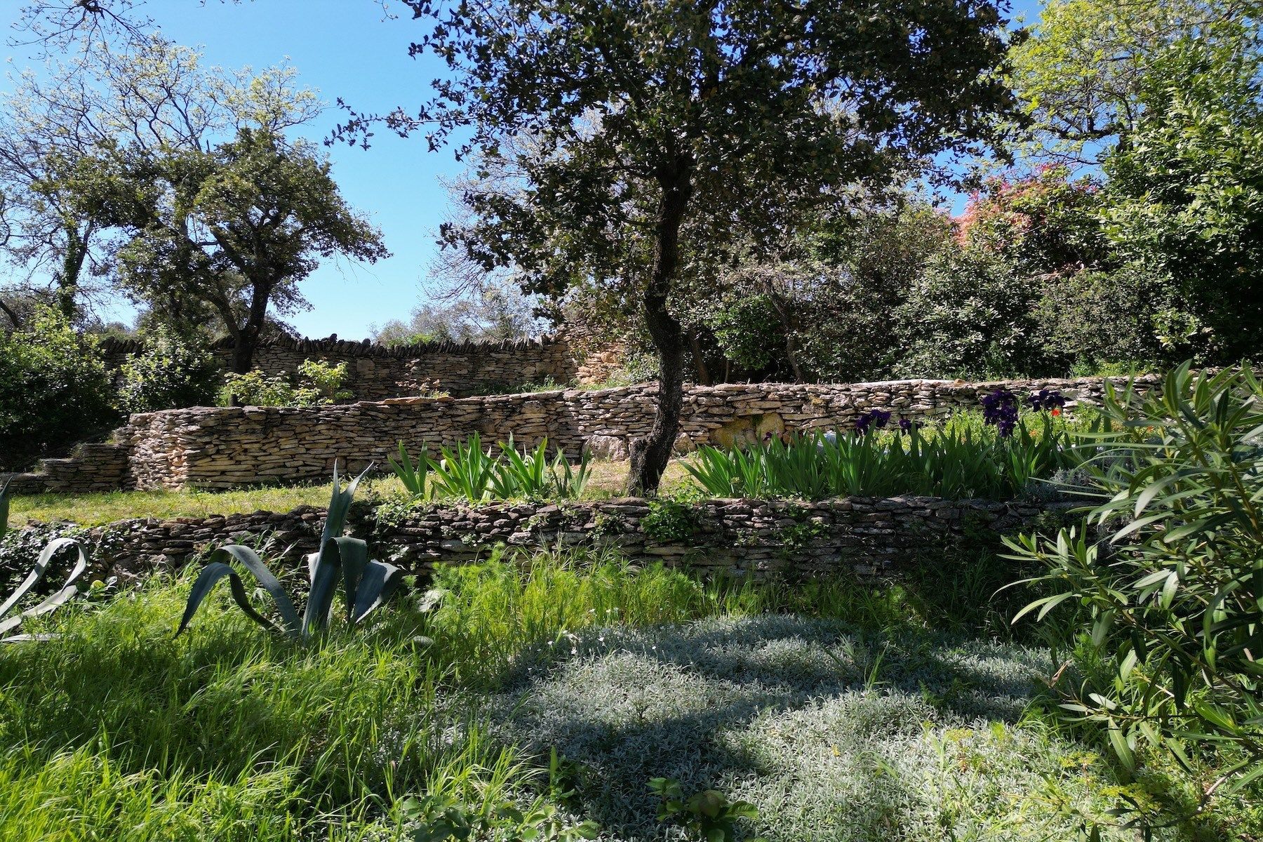 maison 6 Pièces en vente sur CASTILLON DU GARD (30210)