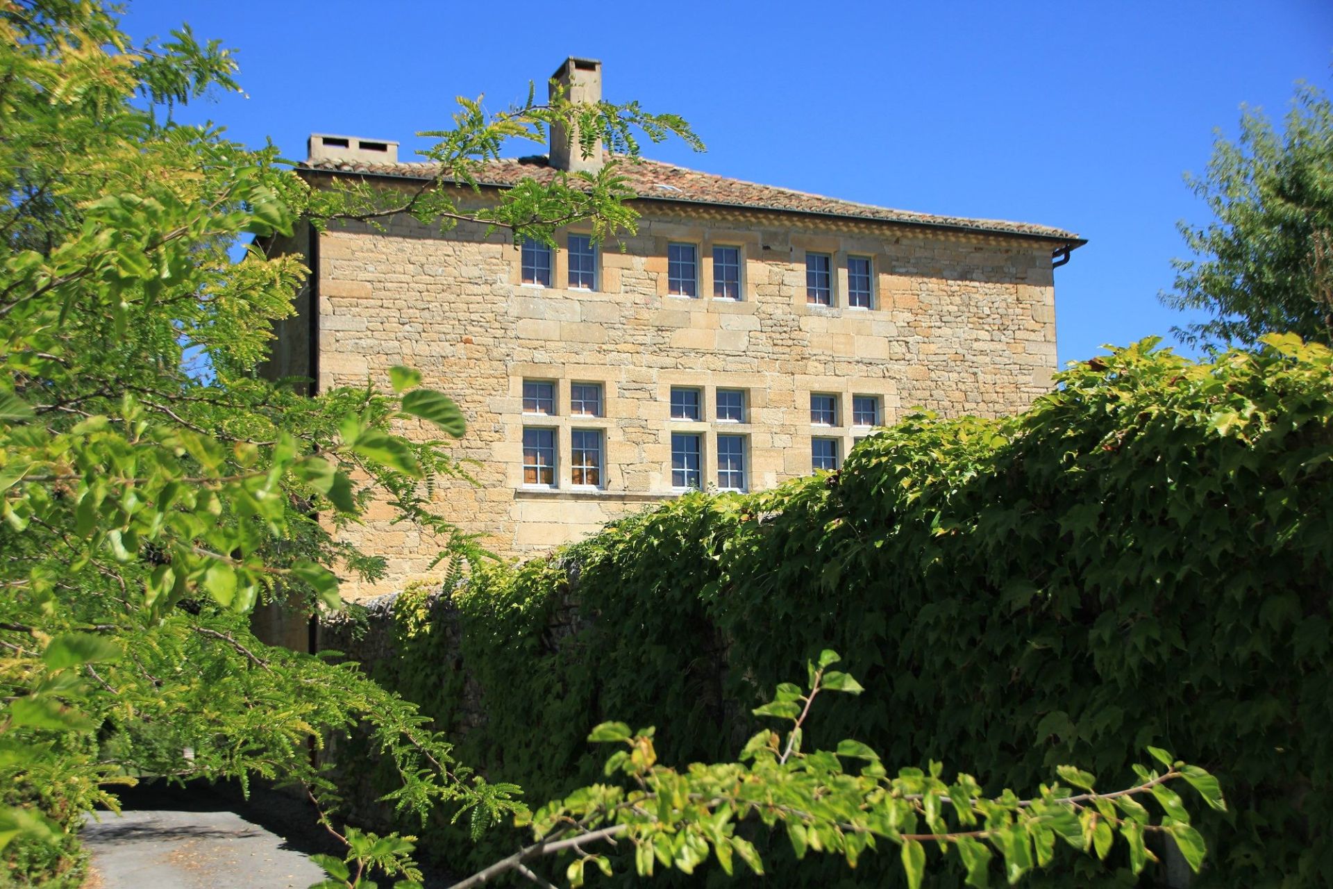 castle 16 Rooms for sale on BARJAC (30430)