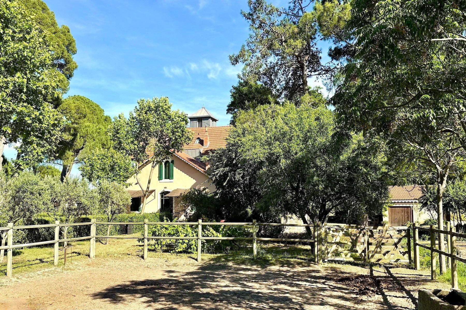 maison de maître 15 Pièces en vente sur AIGUES MORTES (30220)