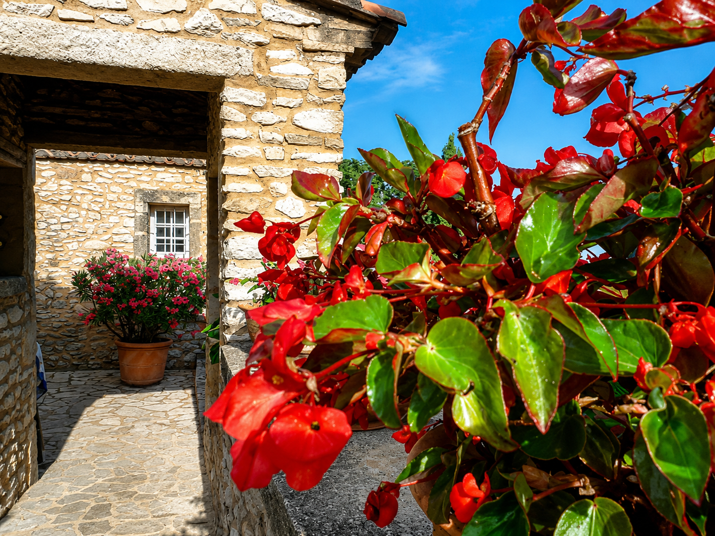 house 44 Rooms for sale on UZES (30700)