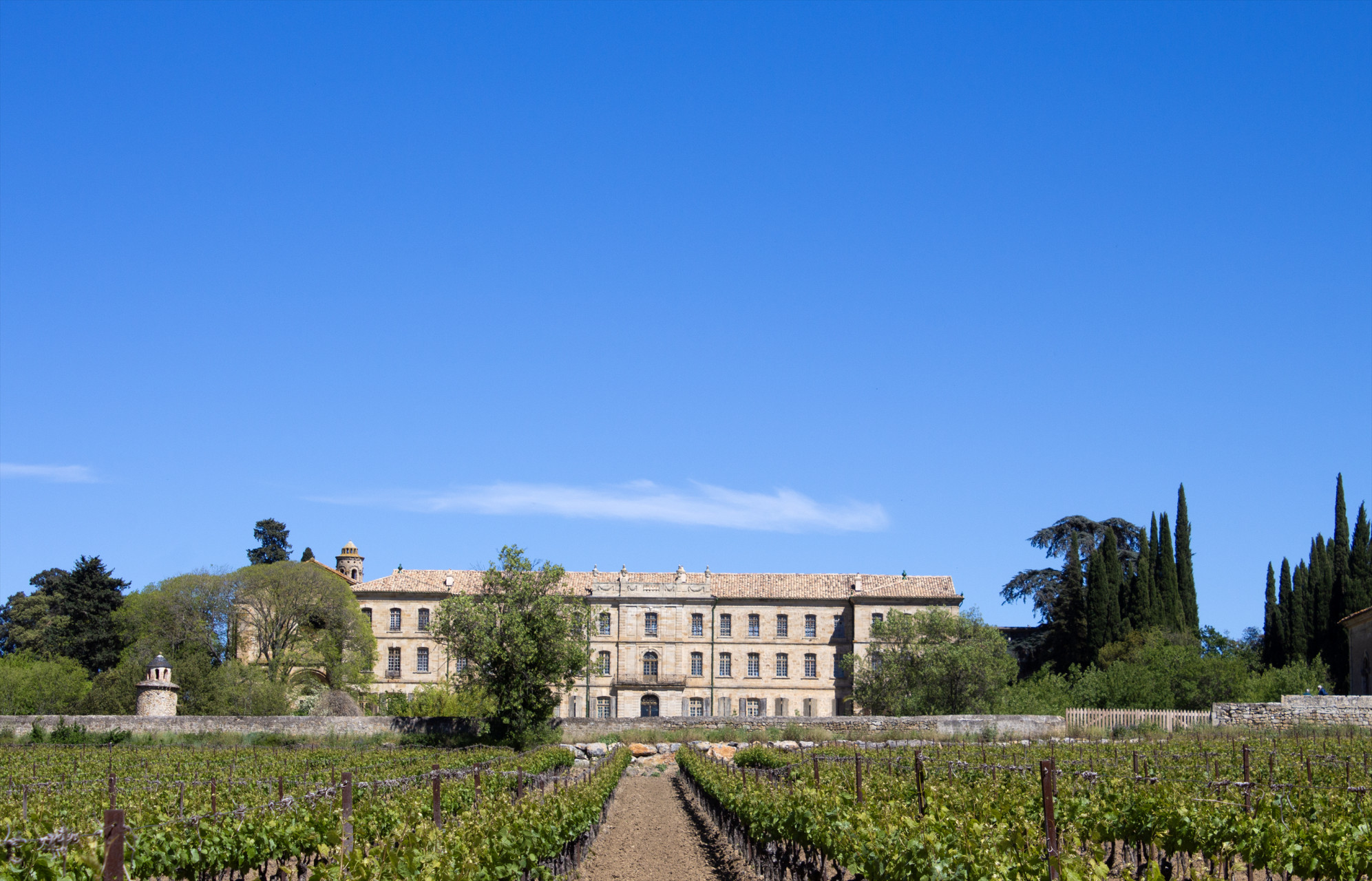 château 30 Pièces en vente sur PEZENAS (34120)