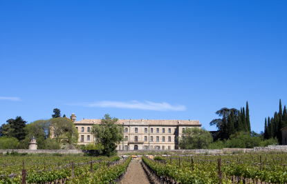 Vente Château Pézenas 30&nbsp;Pièces 6200&nbsp;m²