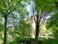 castle 8 Rooms for sale on UZES (30700)