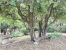 house 12 Rooms for sale on UZES (30700)