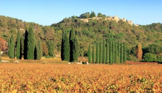 Agence immobilière Cornillon