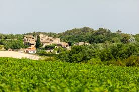 Agence immobilière à Aigaliers