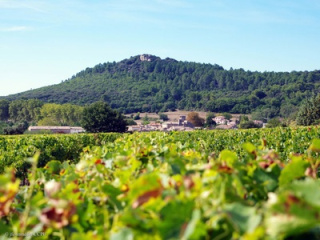 Agence immobilière Saint-Hippolyte-de-Montaigu
