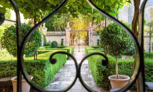 Exception properties